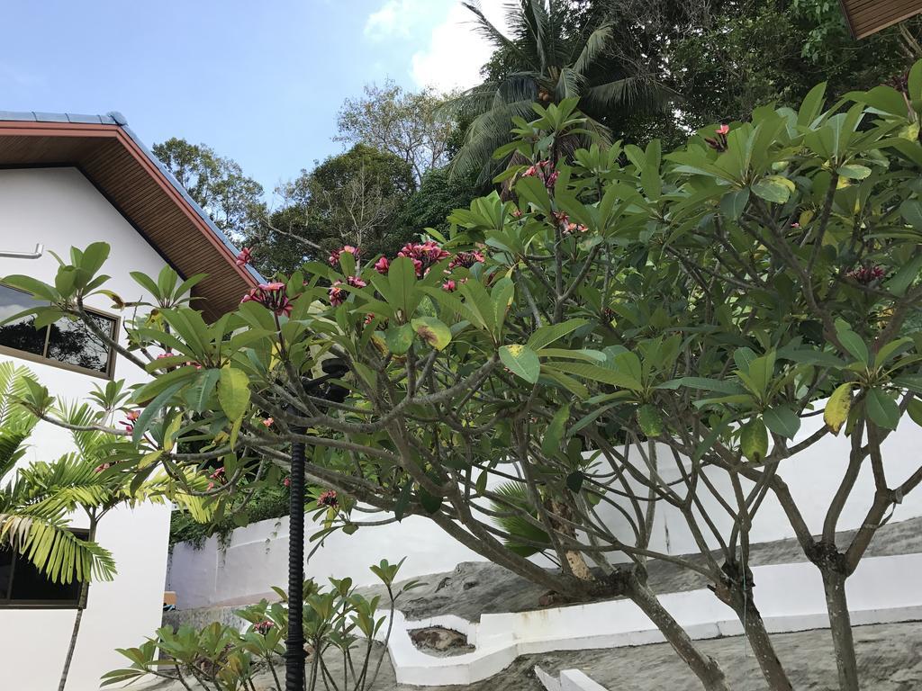 Rabbit Mansion2 Apartment Patong Exterior photo